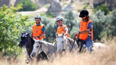 Atlı Dayanıklılık (Endurance) Ne Demek? 1