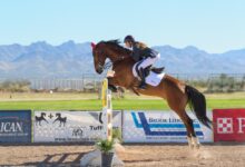 Atlı Sporlar: Engel Atlama - Show Jumping 7