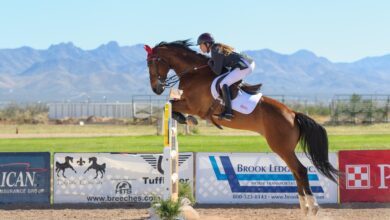 Atlı Sporlar: Engel Atlama - Show Jumping 4