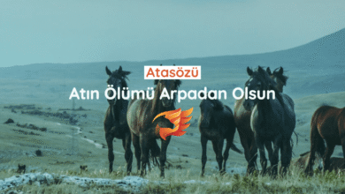 atın ölümü arpadan olsun sözünün anlamı nedir