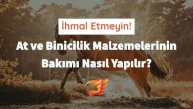 at ve binicilik malzemeleri bakımı