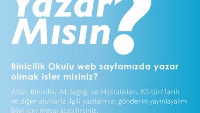 Binicilik Okulu'nda Yazar Mısın? 1