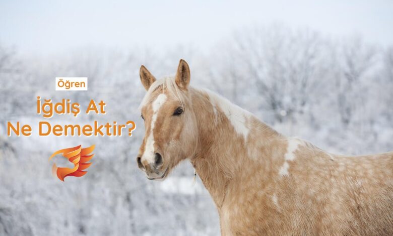 iğdiş at ne demektir
