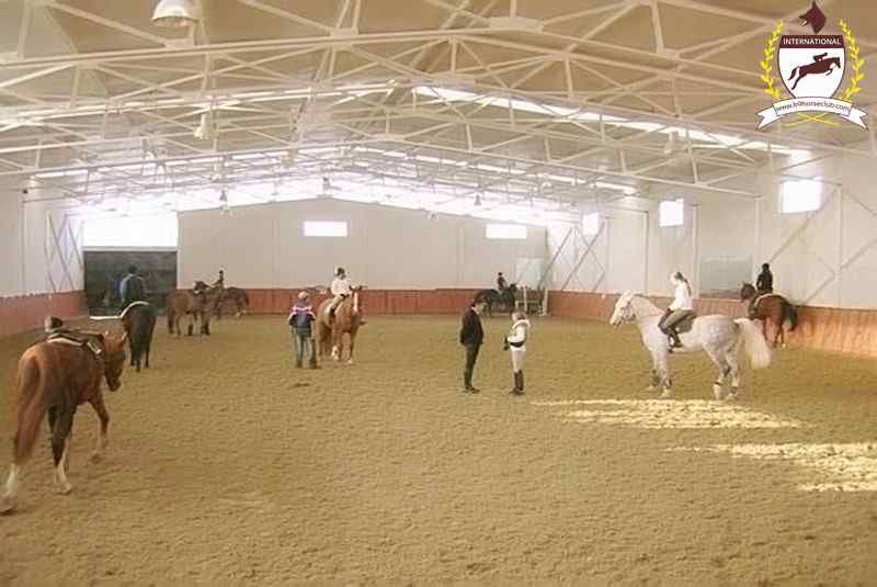 international k 9 horse club binicilik okulu